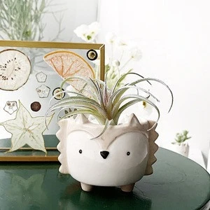 Succulent flower pot cute ceramic pot hedgehog bunny puppy small animal flower pots planters