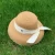 Import Temperament celebrity style bow m standard large Brim Straw Hat female spring and summer new fashion literature retro sun hat tr from China
