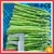 Import Top Grade Fresh Green Asparagus Imported from China