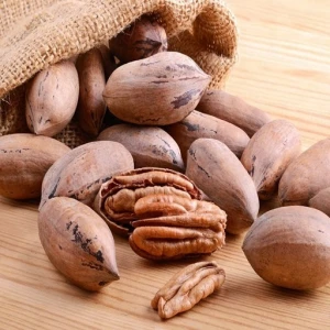 Top Quality grade Pecanl Nuts high quality pecans