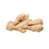 Top Quality  Market Price For Fresh Ginger From FarmsThailand