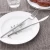 Import Top Seller Food Grade Laguiole Style Hotel Silver Stainless Steel Cutlery Set Flatware from China