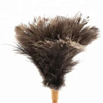Toprank China Manufacturer Anti-static Natural Ostrich Feather Duster With Bamboo Handle