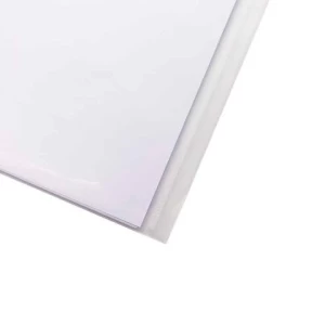 Transparent File Folder With Name Card Pocket Snap Button Plastic Document Bag