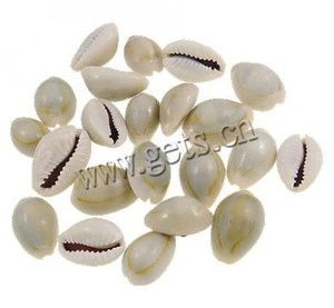 Trumpet Shell Beads Oval natural no hole 722197