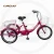 Import utility and loading  tricycle bike with steel alloy fork PLENTIFUL new shape design tricycle b European and Asian new  frame al from China
