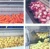 Import vegetable washer with brush rollers suitable for root vegetables from China