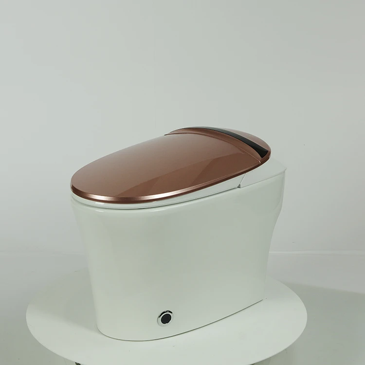 Water-saving intelligent disclosed auto toilet electronic smart toilet