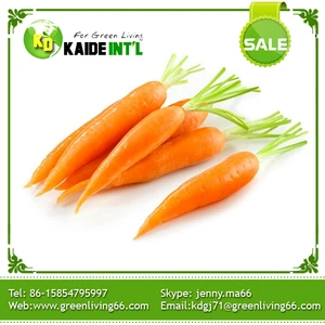 we export 2015 new harvest fresh carrot / competitive price