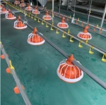 Weifang Tengyuan  animal husbandry equipment feeder and drinker line