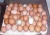 Import WHITE AND BROWN FRESH TABLE EGGS, HATCHING EGGS Price from Ukraine