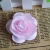 Import white artificial orchid cut rose head flower from China