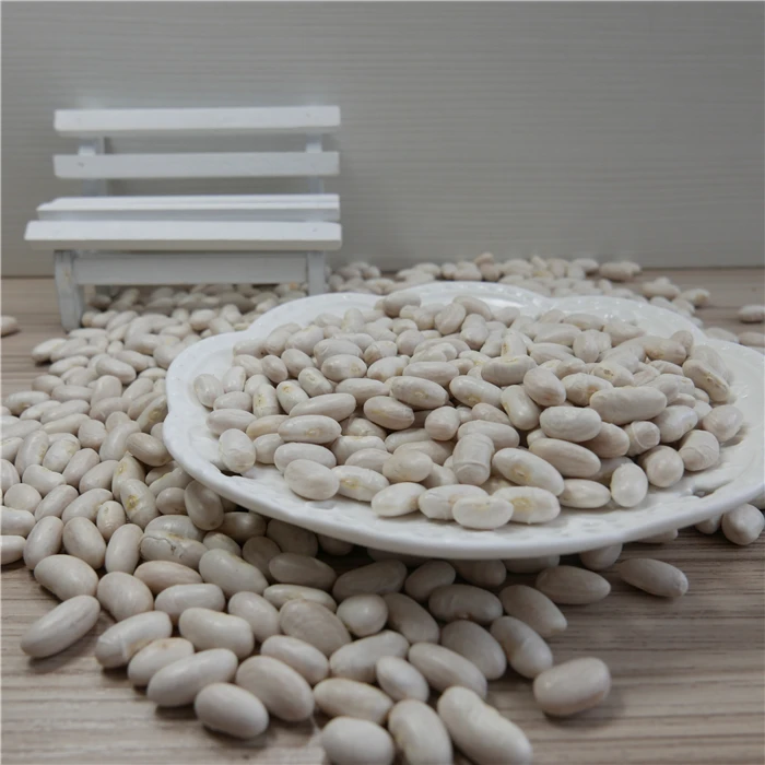 Quality White Kidney Bean, Canned Food Bean, Alubia, Vanilla