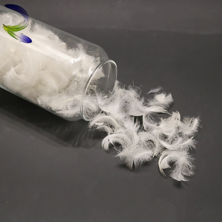 White Washed Bedding Filling Material Duck Down Feather Washed Duck Down Feather Duck Feather And Down Slippers