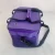 Import Wholesale Amazon Hot Sale Out Door Bbq Vintage Portable Delivery 420d Insulated 20l Purple Soft Cooler Bag from China