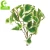 Import Wholesale Artificial ficus Leaves ficus spray For Decoration from China