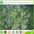 Import Wholesale Chinese Fresh Frozen Cabbage from China