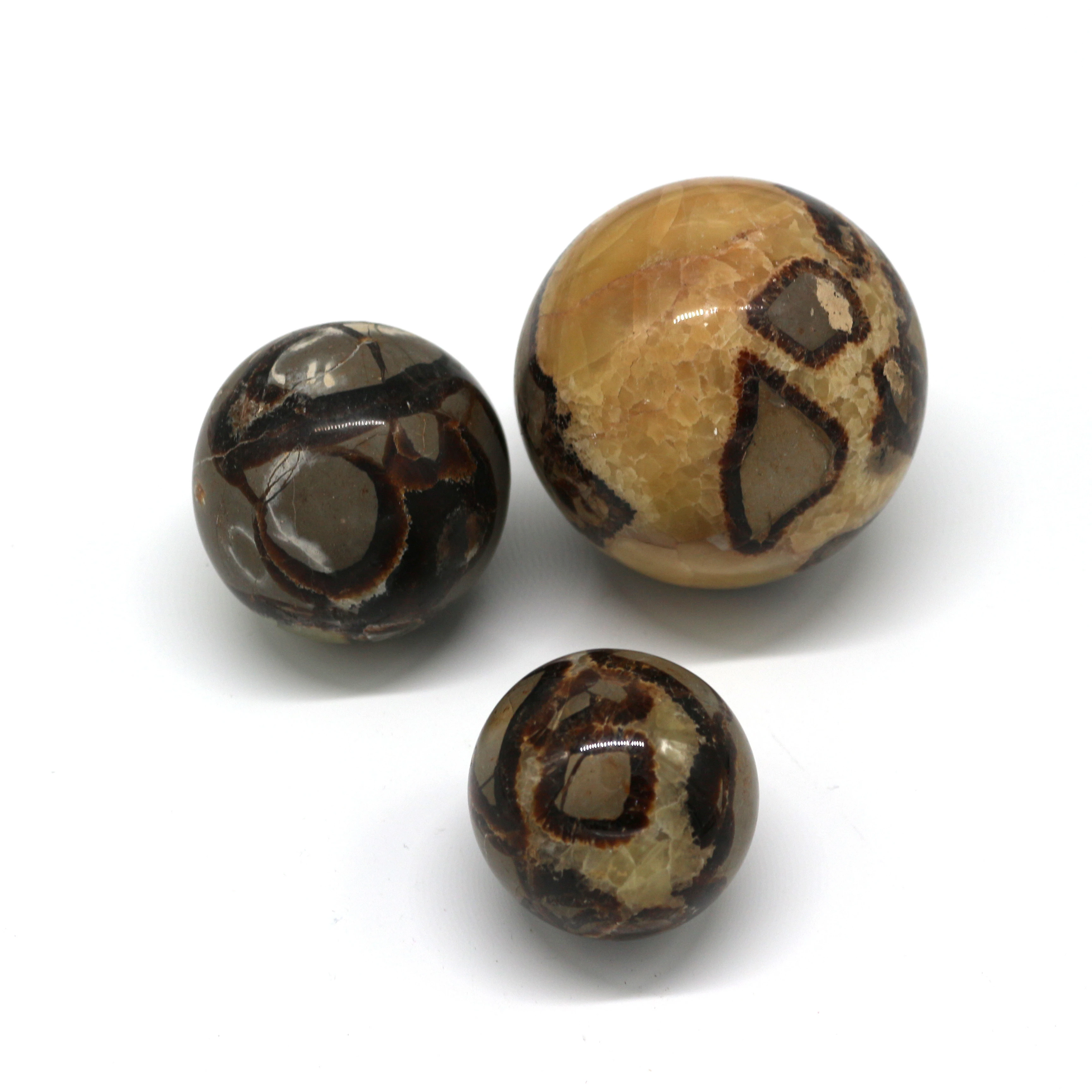 Wholesale  crystal ball natural tortoiseshell stone ball sell like hot