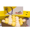 Wholesale Fresh Organic Lemon Hot Sale Citrus Fruit Cheap Price Farm Directly Provide