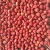 Import Wholesale Fruits IQF new fresh Frozen fresh Strawberry from China from China