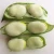 Import Wholesale High Quality Dried Broad Beans Fava Beans price from China