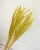 Import Wholesale home decoration dried flower horsetail grass Solodago altissima from China