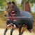 Import winter  HORSE RUGS from Pakistan