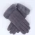 Import Womens Autumn Winter Warm Fashion Outdoor Gloves Plush Mitten Wrist Touch Screen Solid color Woman Gloves from China
