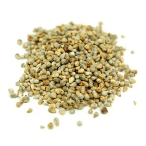 Yellow Millet For Bird Seed