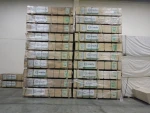 Birch Plywood