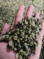 Pagar Alam Robusta Coffee Green Bean