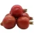 Import Fresh Pomegranates Sweet And Sour Pomegranates from Belgium