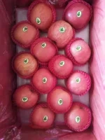 Fresh fuji apple of high quality for sale
