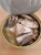 Import Sardine Canned Tuna from Iran