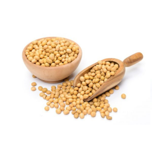 Soybeans / High Quality Non GMO Yellow Dry Soybean Seed / NON-GMO Soya Beans