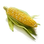 Fresh Yellow & White Corn