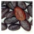 Import Hot Selling High Grade Organic Dried Cocoa Beans from South Africa
