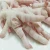 Import Halal Frozen Whole Chicken 'AA' Grade Organic, Broiler and Griller. Chicken Parts!! from Canada
