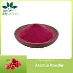 Premium Acerola Powder for Natural Vitamin C Boost