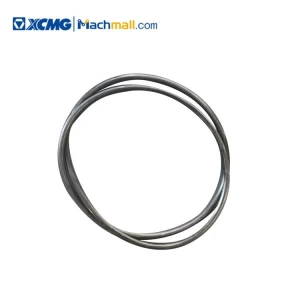 XCMG crane spare tire seals OR325*803269239