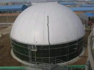 Bio gas plant