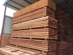 Africa tropical hard and soft wood timber