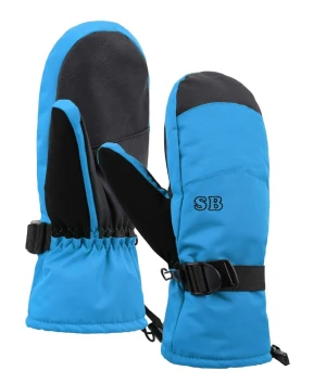 Ski Mittens and gloves