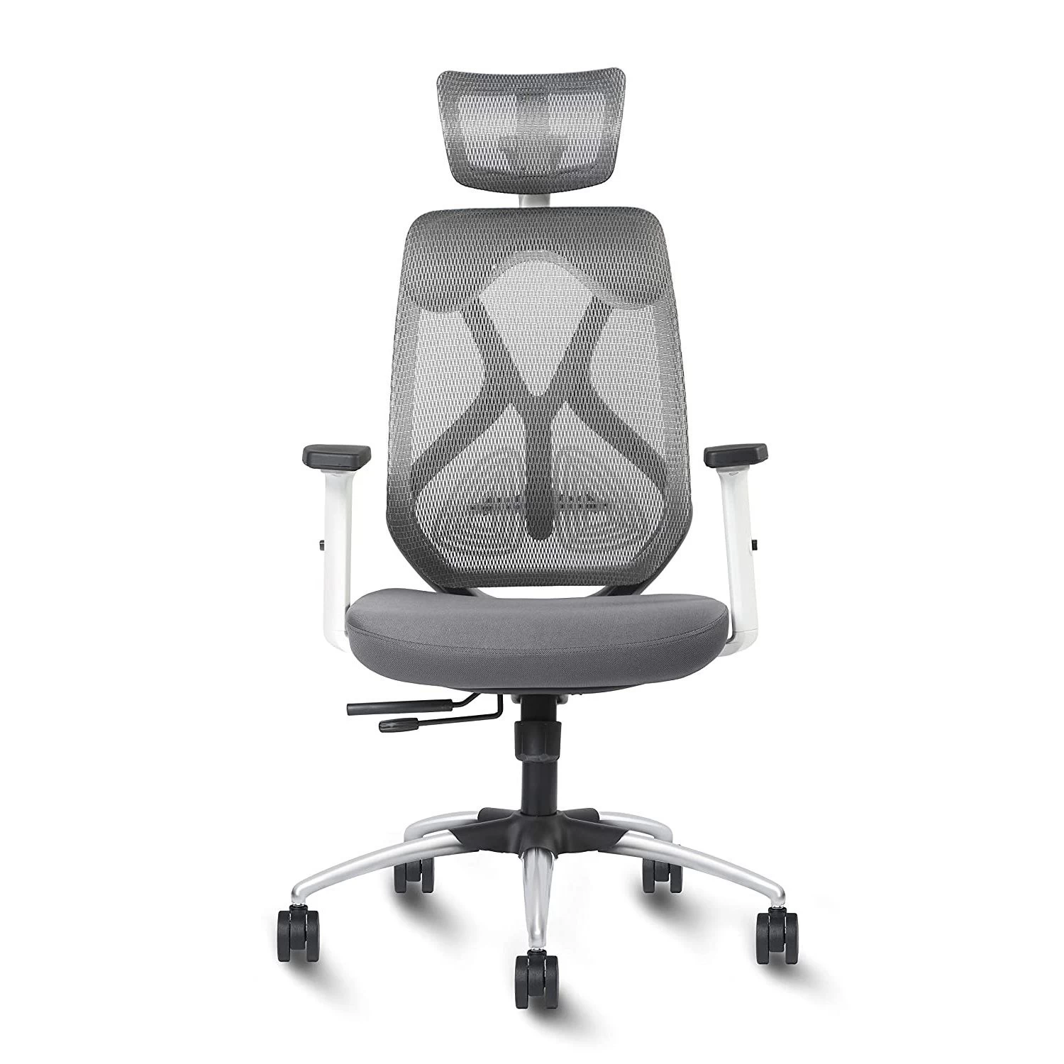 Buy Ergo from Quercus Rubra Pvt Ltd, India