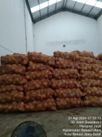 husked coconuts