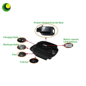Frog Type E-Bike Battery Pack 24V 10ah for Electric Scooter Motorcycle