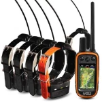 Garmin Astro 430, Astro 900, Astro 320 T5 , Alpha , Montana Collar Bundle GPS Dog Tracking Device System