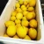 Import LEMONS from South Africa