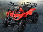 Quad Bike electric ATV