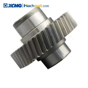 XCMG Road machinery spare parts Output Gear R4L.4.1-2
